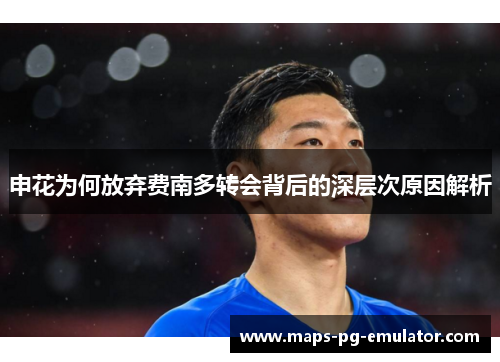 申花为何放弃费南多转会背后的深层次原因解析
