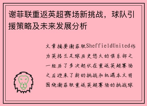 谢菲联重返英超赛场新挑战，球队引援策略及未来发展分析