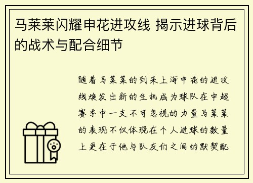 马莱莱闪耀申花进攻线 揭示进球背后的战术与配合细节